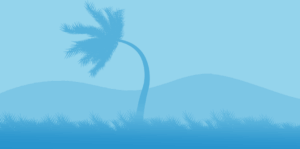 Graphic showing palm tree blowing in storm