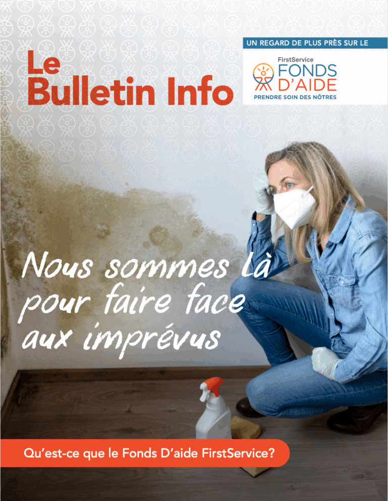 FS_TheBrief_FR_Issue1_1