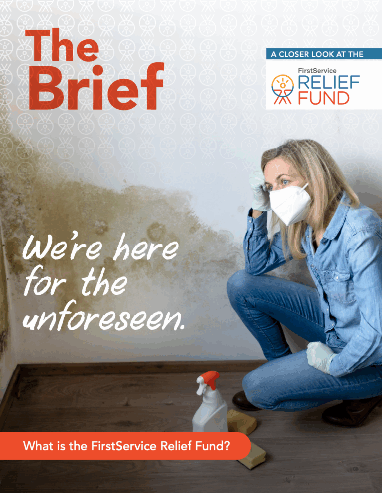 FS_TheBrief_Issue1_1