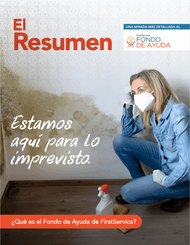 FS_TheBrief_SP_Issue1_1