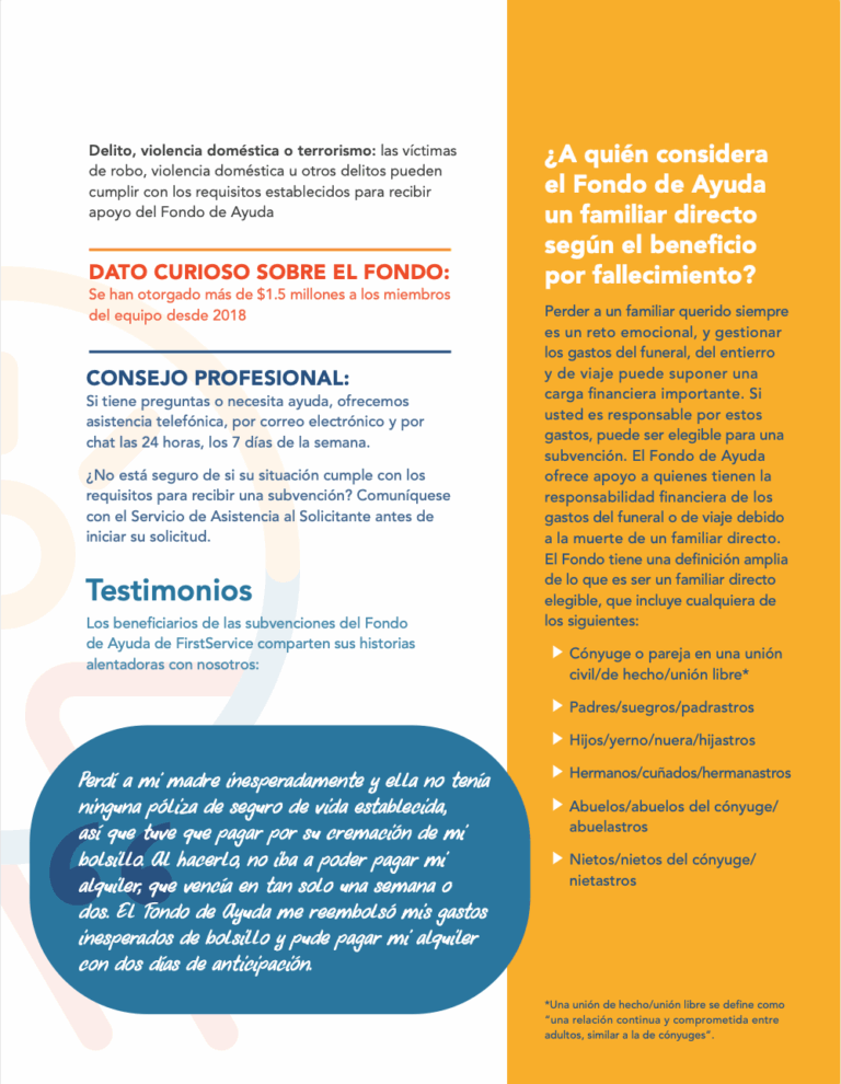 FS_TheBrief_SP_Issue2_3