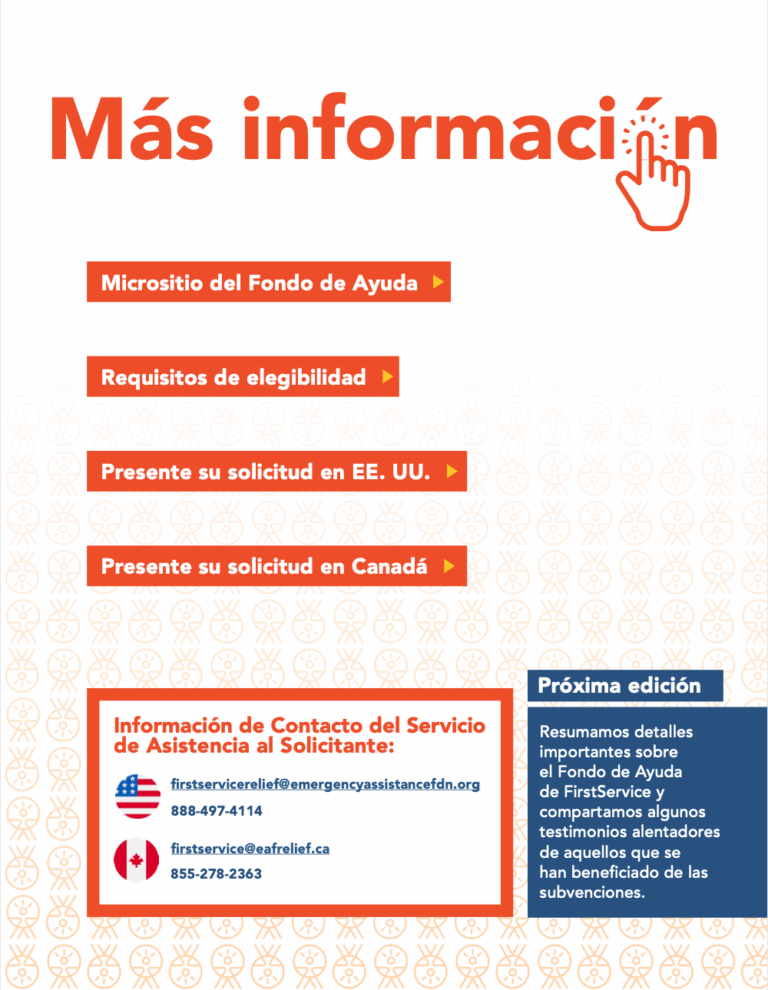 FS_TheBrief_SP_Issue3_4