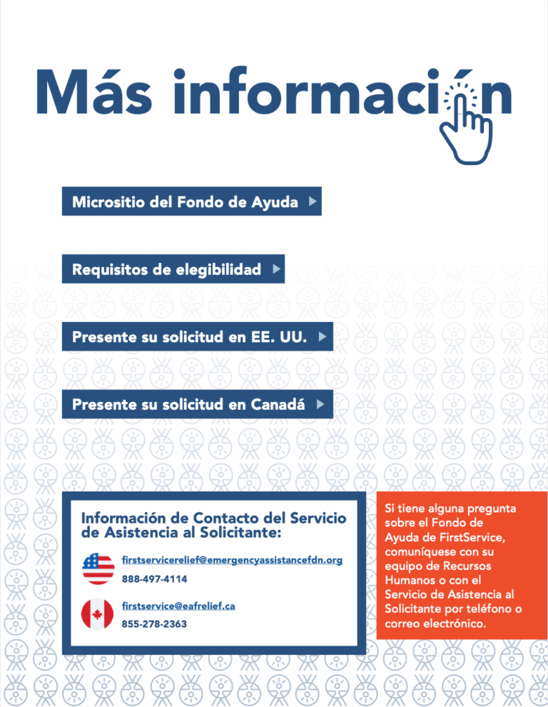 FS_TheBrief_SP_Issue4_4